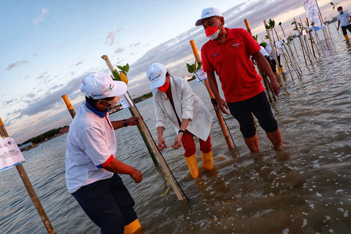 Penanaman bibit mangrove di area Makassar New Port (MNP),  Makassar, Sulawesi Selatan, Senin (16/8/2021).