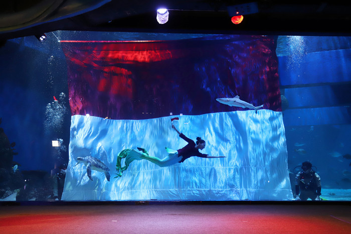 Puteri Duyung melintasi bendera raksasa saat dikibarkan didalam air oleh penyelam dengan kostum pejuang di Jakarta Aquarium, Jakarta Barat, Selasa (17/8/2021).