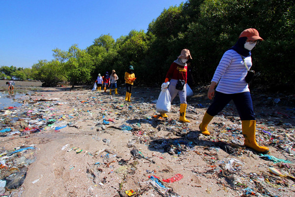 Relawan sungai nusantara membersihkan puluhan pohon api-api dari jeratan sampah plastik, di Pesisir Mangrove Wonorejo, Surabaya, Jawa Timur, Minggu (22/8/2021).