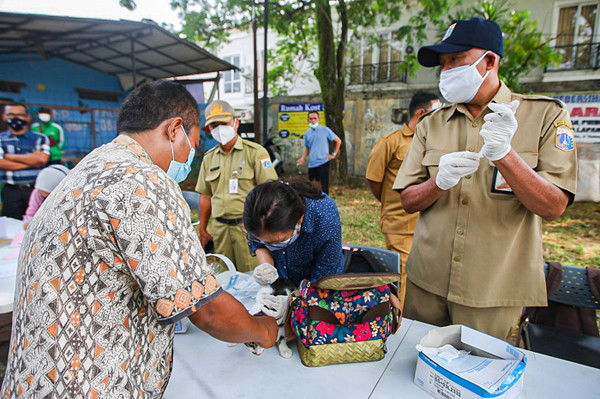 Penyuntikkan vaksin rabies pada hewan peliharaan warga di Komplek Batan Kelurahan Pasar Minggu, Jakarta, Senin (23/8/2021).