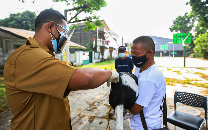 Penyuntikkan vaksin rabies pada hewan peliharaan warga di Komplek Batan Kelurahan Pasar Minggu, Jakarta, Senin (23/8/2021).