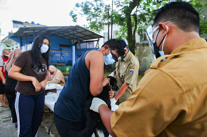 Penyuntikkan vaksin rabies pada hewan peliharaan warga di Komplek Batan Kelurahan Pasar Minggu, Jakarta, Senin (23/8/2021).