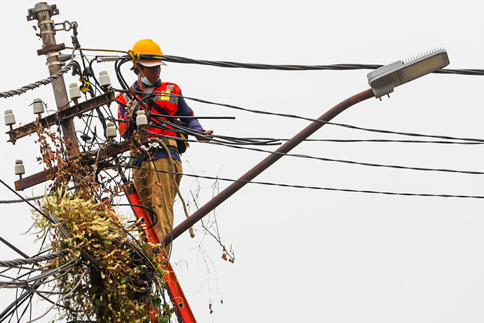 Petugas sedang memperbaiki kabel listrik yang tertutup oleh pohon di kawasan Jakarta Barat, Senin (30/8/2021).