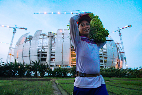 Petani merawat sayuran yang ditanam di lahan garapan dekat proyek pembangunan Jakarta International Stadium (JIS), Jakarta Utara, Senin (6/9/2021).