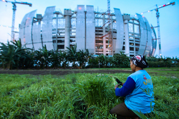 Petani merawat sayuran yang ditanam di lahan garapan dekat proyek pembangunan Jakarta International Stadium (JIS), Jakarta Utara, Senin (6/9/2021).