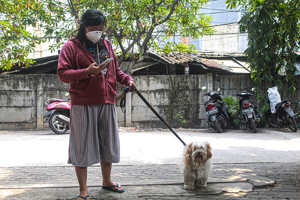 Petugas menyuntikan vaksin rabies ke hewan peliharaan di Sekretariat RW 11 Kelurahan Sunter Jaya, Kecamatan Tanjung Priok, Jakarta Utara, Rabu (8/9/2021).