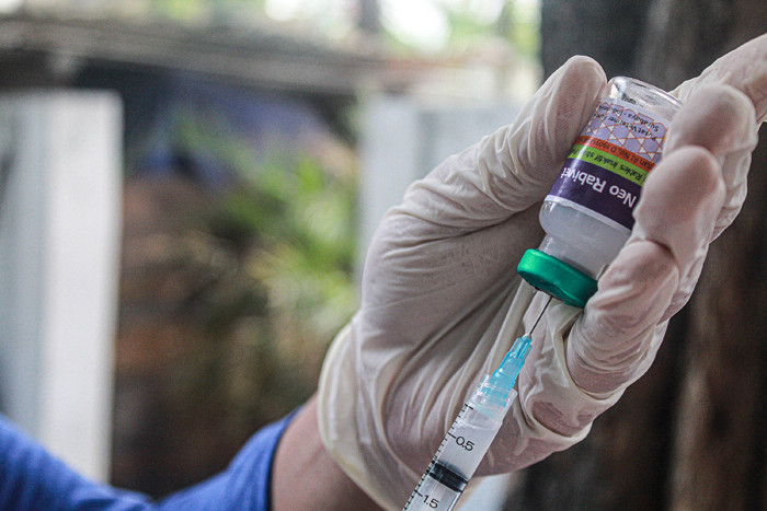 Petugas menyuntikan vaksin rabies ke hewan peliharaan di Sekretariat RW 11 Kelurahan Sunter Jaya, Kecamatan Tanjung Priok, Jakarta Utara, Rabu (8/9/2021).