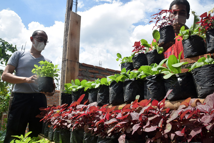 Warga kembali beraktivitas merawat hingga memanen berbagai jenis tanaman sayur-sayuran di Sentra Pelatihan Urban Farming di Kota Semarang, Senin (13/9/2021).