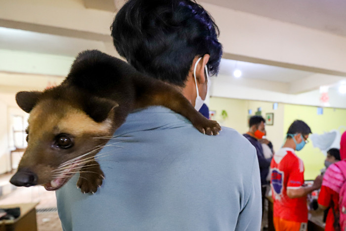 Vaksin anti rabies kepada hewan piaraan secara gratis di Petukangan Selatan, Jakarta, Rabu (15/9/2021).