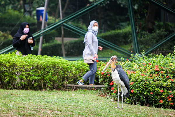 Pengunjung berswafoto di Taman Burung, Taman Mini Indonesia Indah (TMII), Jakarta Timur, Minggu (19/9/2021).