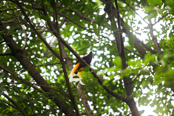 Pengunjung berswafoto di Taman Burung, Taman Mini Indonesia Indah (TMII), Jakarta Timur, Minggu (19/9/2021).