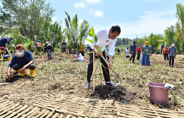 Presiden Jokowi melakukan Penanaman Pohon Mangrove di Desa Tritih Lor, Kecamatan Cilacap Utara, Kabupaten Cilacap, Jawa Tengah, Kamis (23/9/2021).