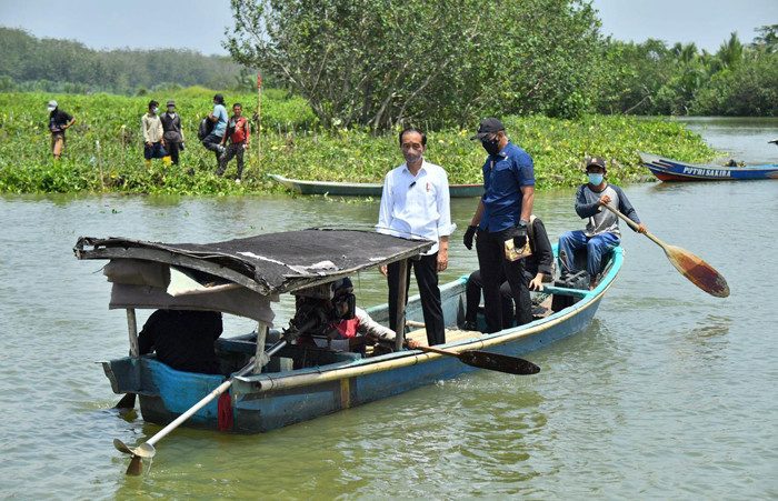 Presiden Jokowi melakukan Penanaman Pohon Mangrove di Desa Tritih Lor, Kecamatan Cilacap Utara, Kabupaten Cilacap, Jawa Tengah, Kamis (23/9/2021).
