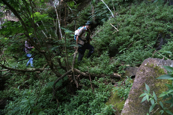 Saat tiba di puncak, para pendaki bakal disambut oleh satu situs purbakala berupa Situs Panji atas Gajah.
