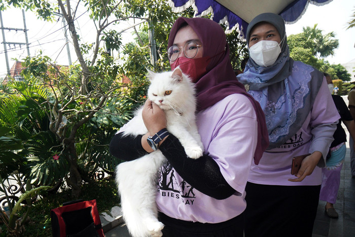 Kucing-kucing lucu milik warga mendapatkan suntikan vaksinasi rabies di Universitas Wijaya Kusuma Surabaya (UWKS), Surabaya, Jawa Timur, Selasa (28/9/2021).