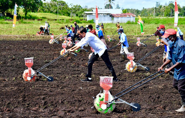 Presiden Jokowi bersama petani melakukan penanaman benih jagung di Keluarahan Klamalu, Kecamatan Aimas, Kabupaten Sorong, Papua Barat, Senin (4/10/2021).