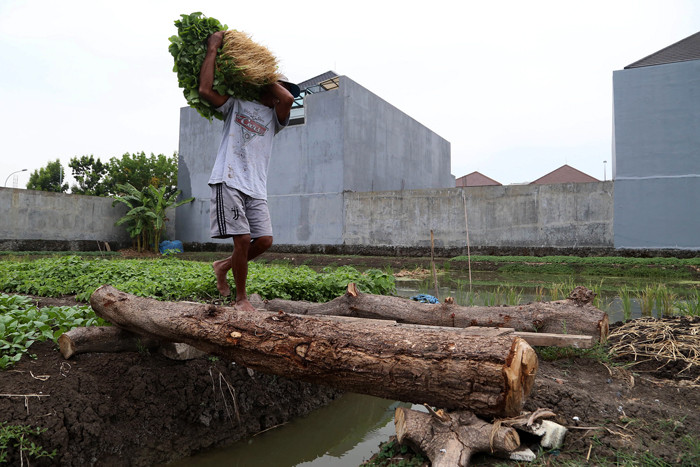 Rohani, petani perkotaan menggarap lahan kosong untuk ditanami sayuran disalah satu komplek perumahan di Semolowaru Surabaya, Jawa Timur, Senin (4/10/2021).