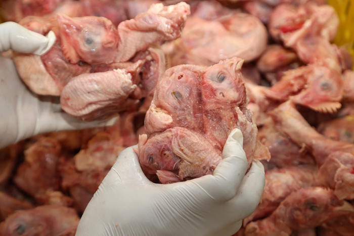 Pekerja memisahkan dan menghancurkan tulang dengan daging ayam di rumah potong ayam (RPA) milik PT Darbe Jaya Abadi di Sidoarjo, Jawa Timur, Kamis (7/10/2021).