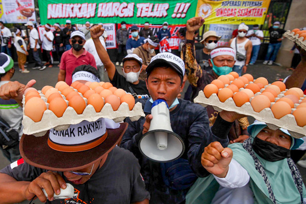 Ratusan peternak melakukan demonstrasi dengan membawa telur ayam di Depan Gedung DPR, Jakarta Pusat, Senin (11/10/2021).