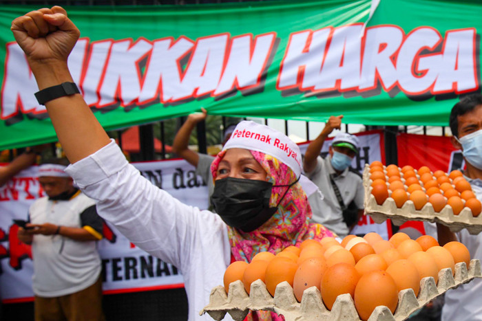 Ratusan peternak melakukan demonstrasi dengan membawa telur ayam di Depan Gedung DPR, Jakarta Pusat, Senin (11/10/2021).