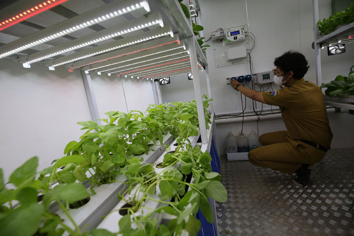 Petugas mengecek tanaman yang ditanam dengan menggunakan teknik hidroponik didalam container farming dan agro electrifying di Jakarta, Selasa (12/10/2021).