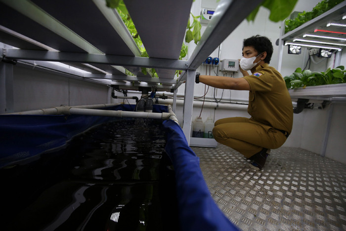 Petugas mengecek tanaman yang ditanam dengan menggunakan teknik hidroponik didalam container farming dan agro electrifying di Jakarta, Selasa (12/10/2021).