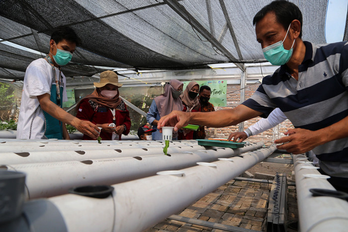 Menanam sayuran di green house Kendangsari, Surabaya, Jawa Timur, Jumat (15/10/2021).