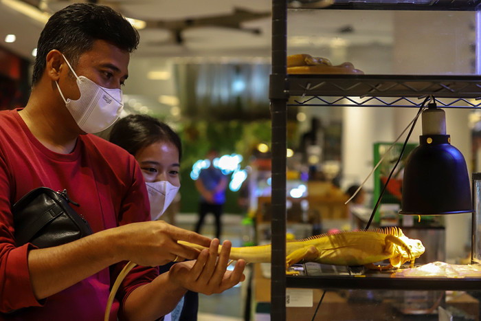 Pengunjung saat melihat pameran Exotic Pet Expo yang menampilkan berbagai macam hewan peliharaan di Senayan Park, Jakarta, Kamis (28/10/2021).
