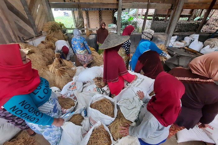 Warga mengantre untuk proses penggilingan padi menjadi beras di desa Citorek Tengah, Kecamatan Cibeber, Kabupaten Lebak, Banten, Minggu (7/11/2021).