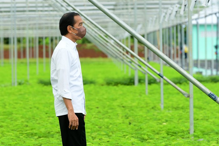 Presiden Joko Widodo meninjau langsung Persemaian Modern Rumpin di Kecamatan Rumpin, Kabupaten Bogor, Jumat (19/11/2021).