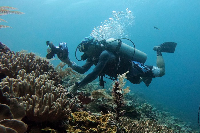 Peneliti melakukan pengambilan foto identitas Pari Manta, di Manta Ridge, Kawasan Konservasi Perairan Daerah Selat Dampier, Kepulauan Raja Ampat.