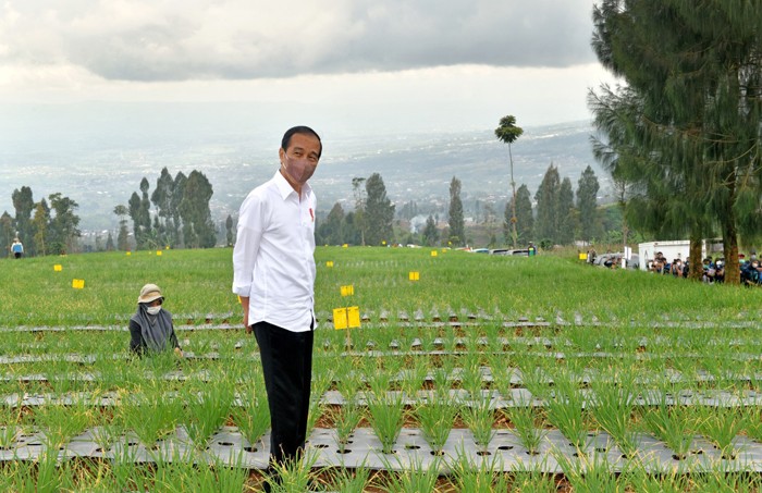 Tinjau Food Estate Di Temanggung, Presiden Jokowi Ikut Tanam Cabai Dan ...