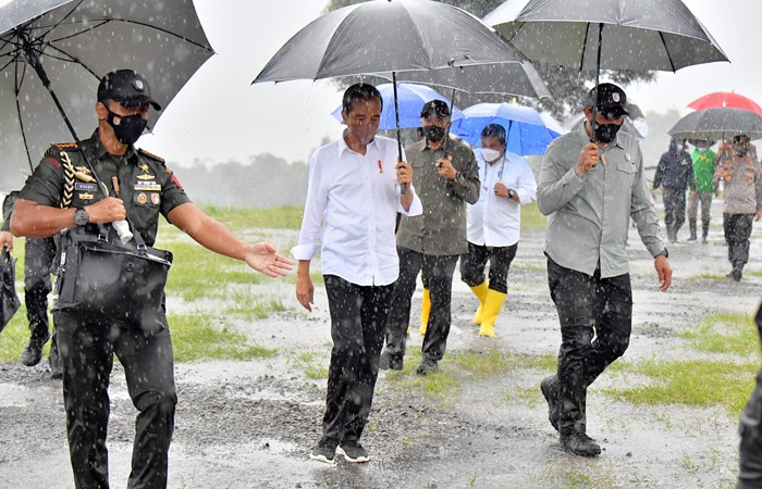 Presiden Joko Widodo basah kuyup meski berpayung usai penanaman cabai bersama masyarakat di Food Estate, Desa Lamuk, Wonosobo, Jawa Tengah, Selasa (14/12/2021).