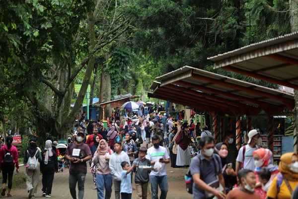 Pengunjung saat melihat gajah di Taman Margasatwa Ragunan, Jakarta, Sabtu (25/12/2021).