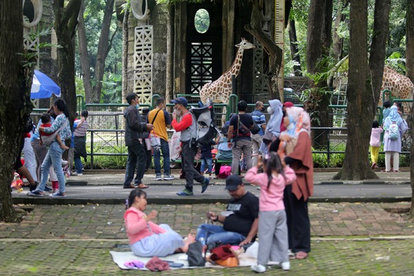Pengunjung saat melihat gajah di Taman Margasatwa Ragunan, Jakarta, Sabtu (25/12/2021).