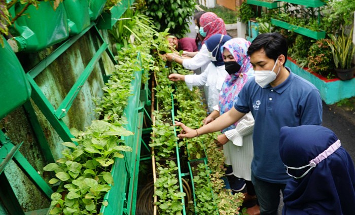 Kampung Berseri Astra, Kampung Ramah Lingkungan Asuransi Astra RW 01 Pela Mampang bersama karyawan Asuransi Astra sedang merawat urban farming.