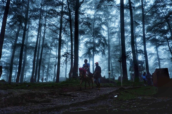 Suasana pengunjung di kawasan wisata Pohon Pinus, Malino, Kabupaten Gowa, Minfgu (2/1/2022).