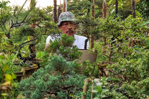 Warga saat merawat tanaman bonsai di lahan bantaran sungai Ciliwung, Jakarta, Rabu (5/1/2021).