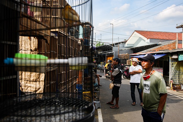 Pengunjung saat memilih hewan peliharaan di Pasar Hewan Jatinegara, Jakarta Timur, Minggu (9/1/2022).