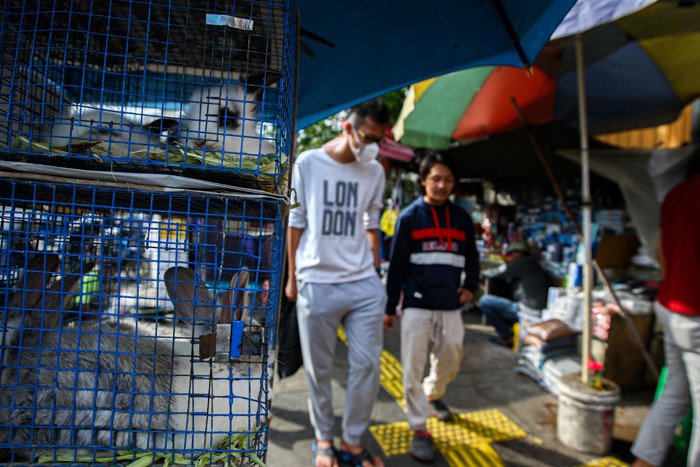 Pengunjung saat memilih hewan peliharaan di Pasar Hewan Jatinegara, Jakarta Timur, Minggu (9/1/2022).