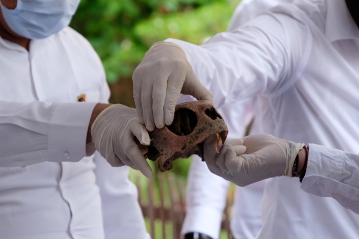 Sejumlah potongan bagian tubuh penyu hijau hasil penyelundupan pasar gelap dirilis di Mapolda Sulsel, Makassar, Selasa (11/1/2022).