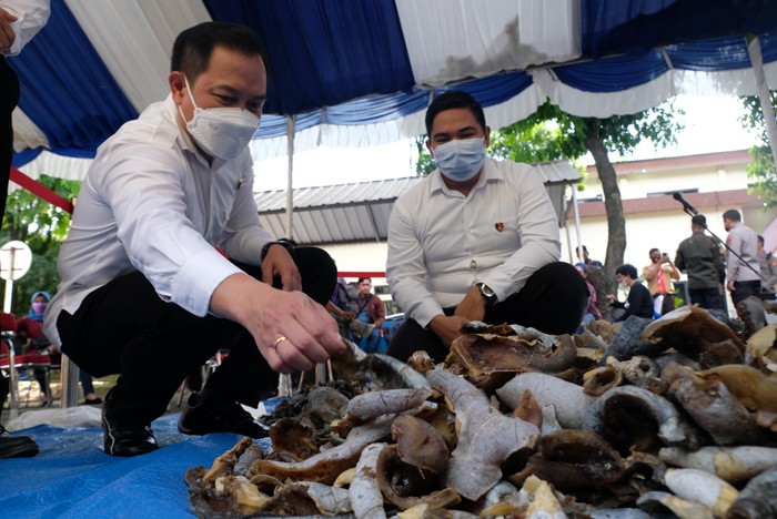 Sejumlah potongan bagian tubuh penyu hijau hasil penyelundupan pasar gelap dirilis di Mapolda Sulsel, Makassar, Selasa (11/1/2022).