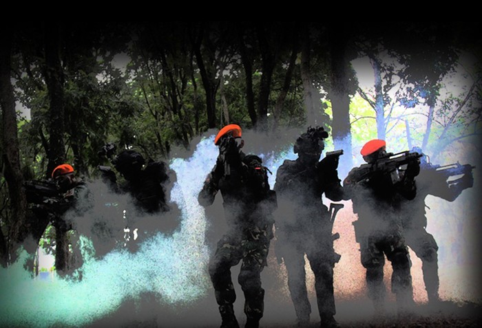 Seiring terbitnya Perpres nomor 66 tahun 2019 tentang organisasi tugas dan jabatan di lingkungan TNI.