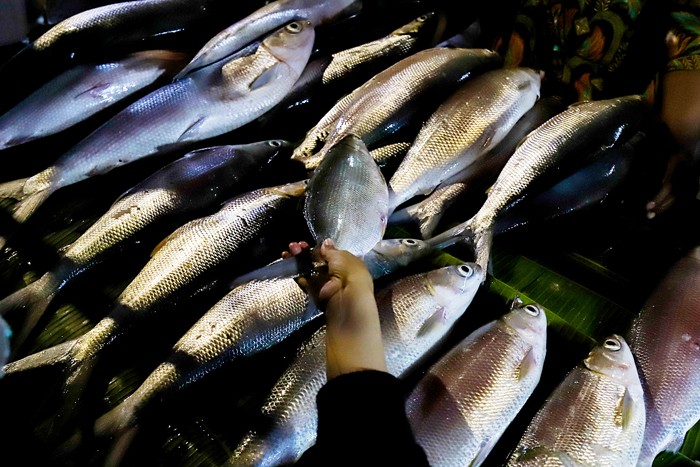 Pedagang ikan bandeng saat melayani pembeli untuk disajikan sebagai hidangan khas saat Hari Raya Imlek di Jakarta Barat, Minggu (30/1/2022).