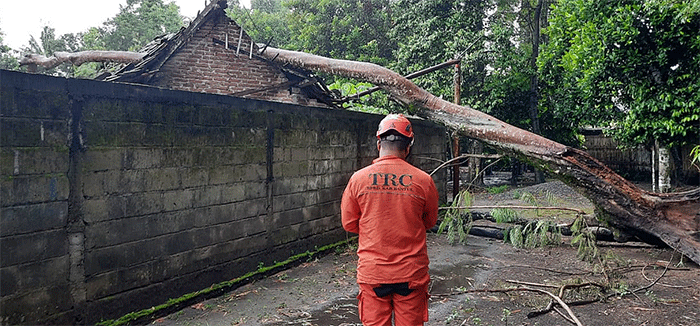 Fenomena angin kencang yang terjadi bersamaan dengan hujan lebat masih menjadi bahaya nyata. Peristiwa tersebut menerjang wilayah Kabupaten Sleman.