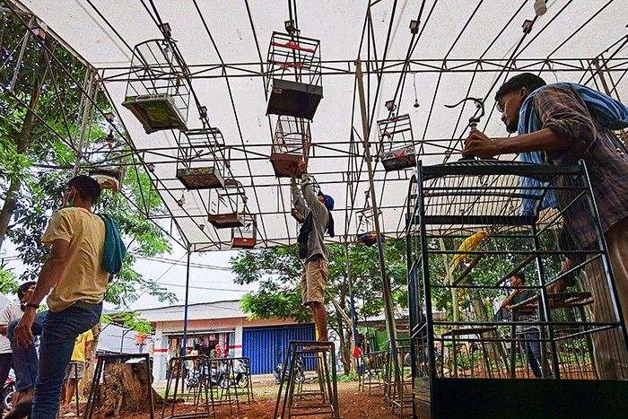 Penggemar burung kicau jenis kenari yang sedang popular mengikuti lomba di Tangerang, Rabu (9/2/2022).