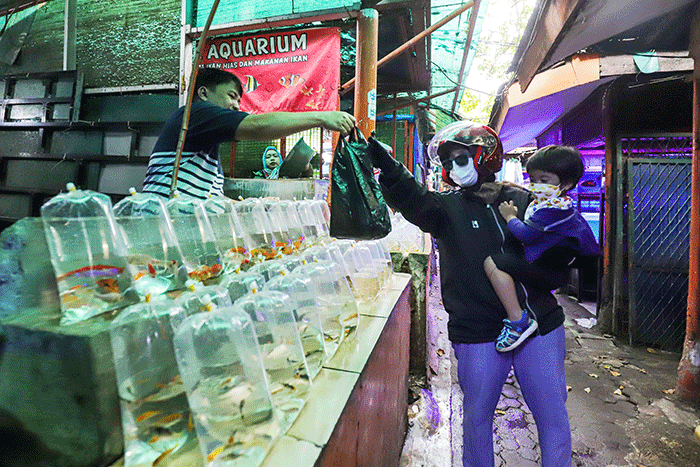 Penjual melayani pembeli di Pusat Promosi dan Pemasaran Hias di Jalan Sumenep, Menteng, Jakarta Pusat, Sabtu (12/2/2022).