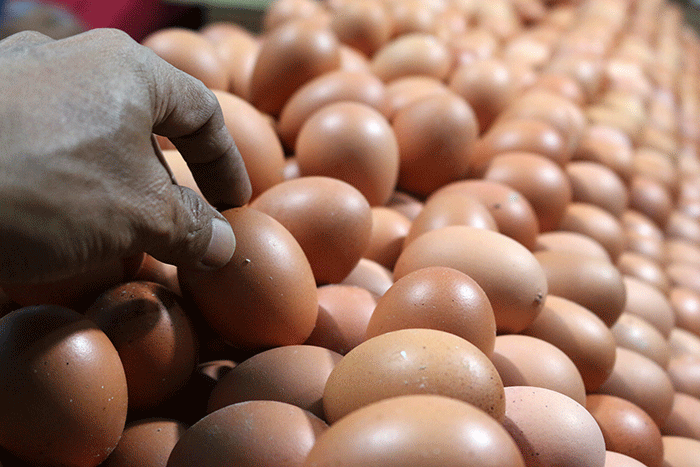 Pedagang telur ayam melayani pembeli di kawasan Pasar Serdang Kemayoran, Jakarta, Sabtu (5/3/2022).