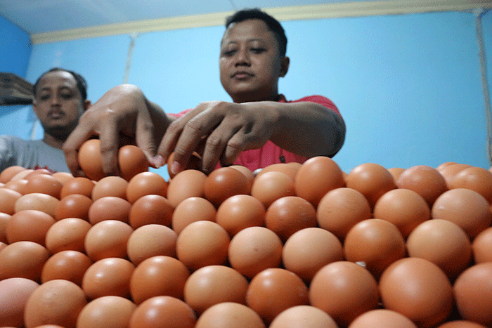 Pedagang telur ayam melayani pembeli di kawasan Pasar Serdang Kemayoran, Jakarta, Sabtu (5/3/2022).