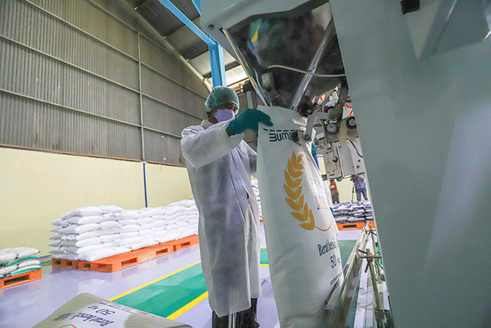 Pekerja mengoperasikan mesin Rice To Rice (RTR) untuk mengisi karung beras medium di Gudang RTT Bulog, Kelapa Gading, Jakarta Utara, Jumat (11/3/2022).